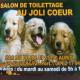 Au Joli Coeur  à Auriol|499-499