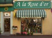 Fleuriste Narbonne|462-336