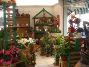 Fleuriste Narbonne Fleuriste Narbonne|490-368