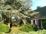 Achat vente immobilier Lésigny|400-300