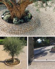 Pose de pavés Draguignan|397-499