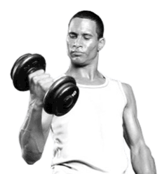 exercice de musculation à seysses, musculation des bras et biceps chez best of form