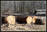 Bois chauffage ecologique Montpellier Bois chauffage ecologique Montpellier|490-335