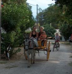 Camping Camargue Nîmes|455-471
