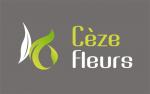 Fleuriste interflora Bagnols-sur-Ceze|499-314
