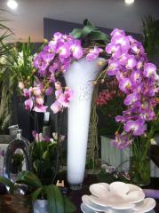 Fleuriste interflora Bagnols-sur-Cèze|373-499
