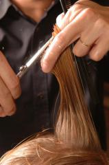 Emploi coiffure en ligne Emploi coiffure en ligne|332-499