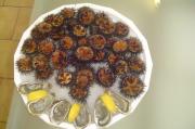coquillage la ciotat|500-332