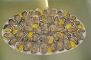 coquillage la ciotat|500-332