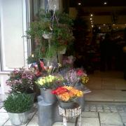 Livraison de fleurs a Uzes Livraison de fleurs a Uzes|499-499