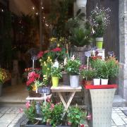 Livraison de fleurs a Uzes Livraison de fleurs a Uzes|499-499