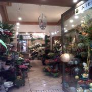 Livraison de fleurs a Uzes Livraison de fleurs a Uzes|499-499