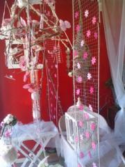 Fleuriste Jacou |240-320