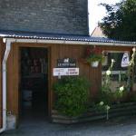 Elevage chiens Calvados|499-499