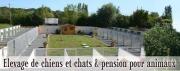 Élevage chiens Calvados|499-198