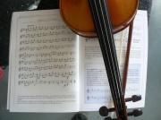 Cours de violoncelle Paris 5eme|499-374