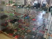 Gothique Ales Gothique Ales|498-374