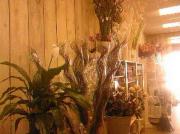 Fleuriste Gardanne Fleuriste Gardanne|499-374
