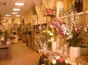 Fleuriste Gardanne Fleuriste Gardanne|499-374