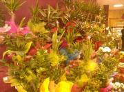 Fleuriste Gardanne|499-374