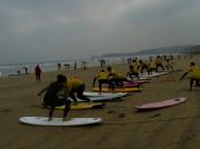 Surf camp Anglet Surf camp Anglet|499-374