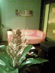 coiffeur gignac|374-499