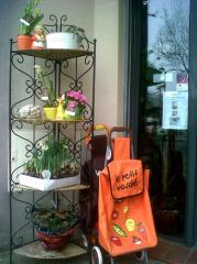 fleuriste monteux|374-499