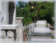 Marbrerie Saint-Hippolyte-du-Fort|490-384