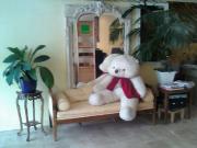 Literie Narbonne Literie Narbonne|492-371