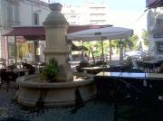 Brasserie restaurant Salon-de-Provence|499-374