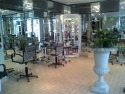 Salon coiffure mixte |486-365