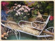 fleuriste quissac fleuriste quissac|490-368