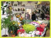 fleuriste quissac fleuriste quissac|490-368