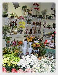 fleuriste quissac|381-490