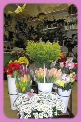 fleuriste quissac fleuriste quissac|327-490