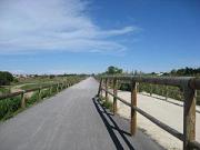 Location vélos le Barcares|300-225