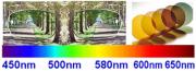 Opticien Servian|500-181