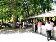 Manade Camargue Arles|499-374