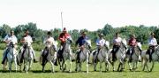 Manade Camargue Arles|499-245