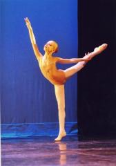 Vetement et accessoires de danse Frejus|337-479