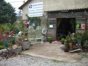 Fleuriste Pignan Fleuriste Pignan|490-368