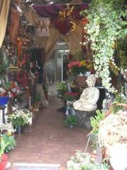 Fleuriste Pignan Fleuriste Pignan|368-490