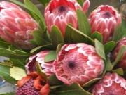 Fleuriste Pignan Fleuriste Pignan|490-368