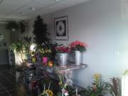 fleuriste aujargues|400-300