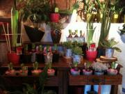 fleuriste pérols fleuriste pérols |490-368