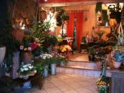 fleuriste pérols fleuriste pérols |490-368