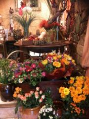 fleuriste pérols |368-490