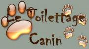 Toilettage canin Nice Toilettage canin Nice|499-276