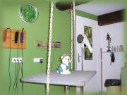 Toilettage canin Quissac Toilettage canin Quissac|490-368