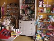 Esthéticienne Saint-Maixent-l-École|490-368